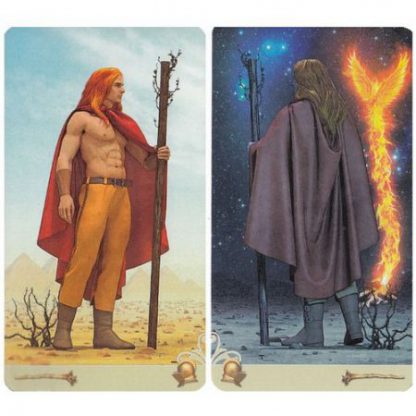 Viceversa tarot deck - Afbeelding 5