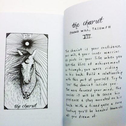 The wild unknown animal spirit (pocket editie)- Kim Krans - Afbeelding 6